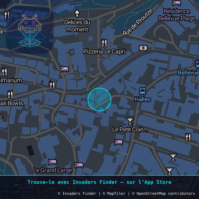 Zone approximative de l'invader BAB_03, dans le quartier Centre-ville, Biarritz à Biarritz-Anglet-Bayonne. Emplacement exact disponible dans l'app Invaders Finder.