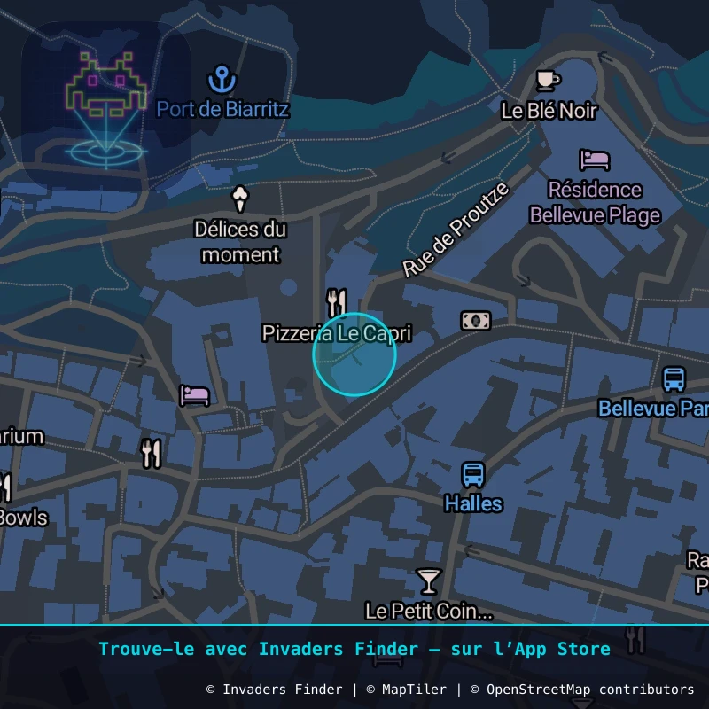 Zone approximative de l'invader BAB_04, dans le quartier Centre-ville, Biarritz à Biarritz-Anglet-Bayonne. Emplacement exact disponible dans l'app Invaders Finder.