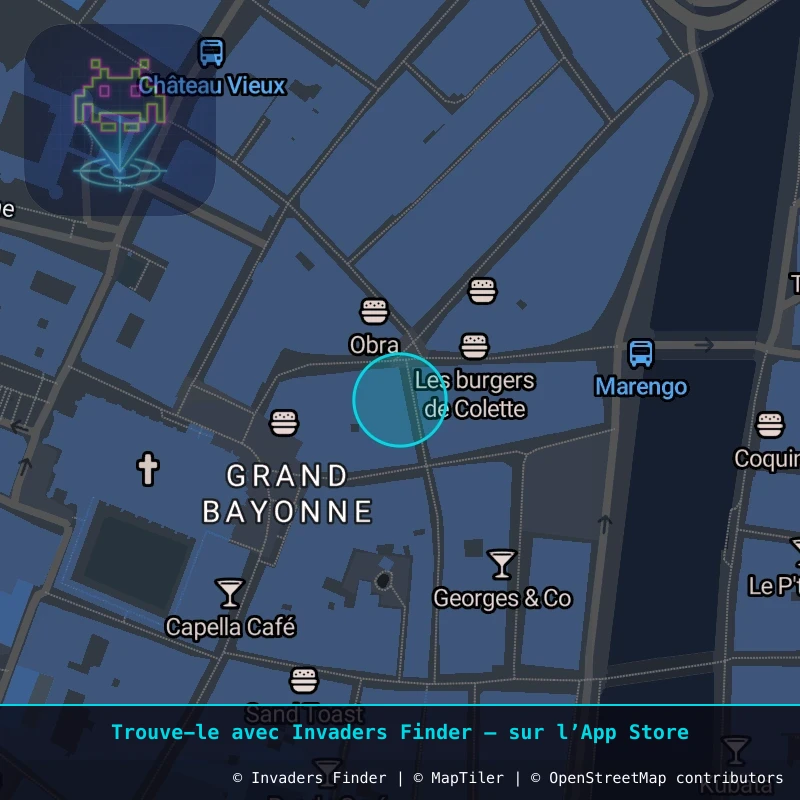 Zone approximative de l'invader BAB_20, dans le quartier Grand Bayonne, Bayonne à Biarritz-Anglet-Bayonne. Emplacement exact disponible dans l'app Invaders Finder.