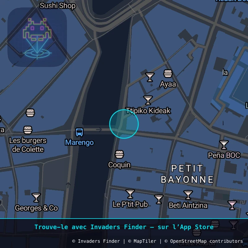 Zone approximative de l'invader BAB_22, dans le quartier Petit Bayonne, Bayonne à Biarritz-Anglet-Bayonne. Emplacement exact disponible dans l'app Invaders Finder.