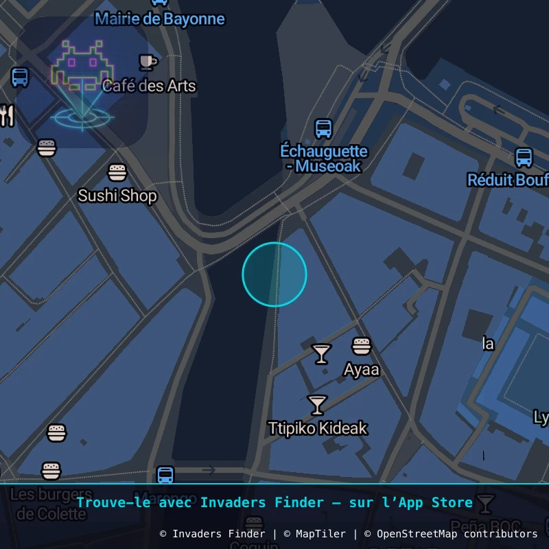 Zone approximative de l'invader BAB_23, dans le quartier Petit Bayonne, Bayonne à Biarritz-Anglet-Bayonne. Emplacement exact disponible dans l'app Invaders Finder.