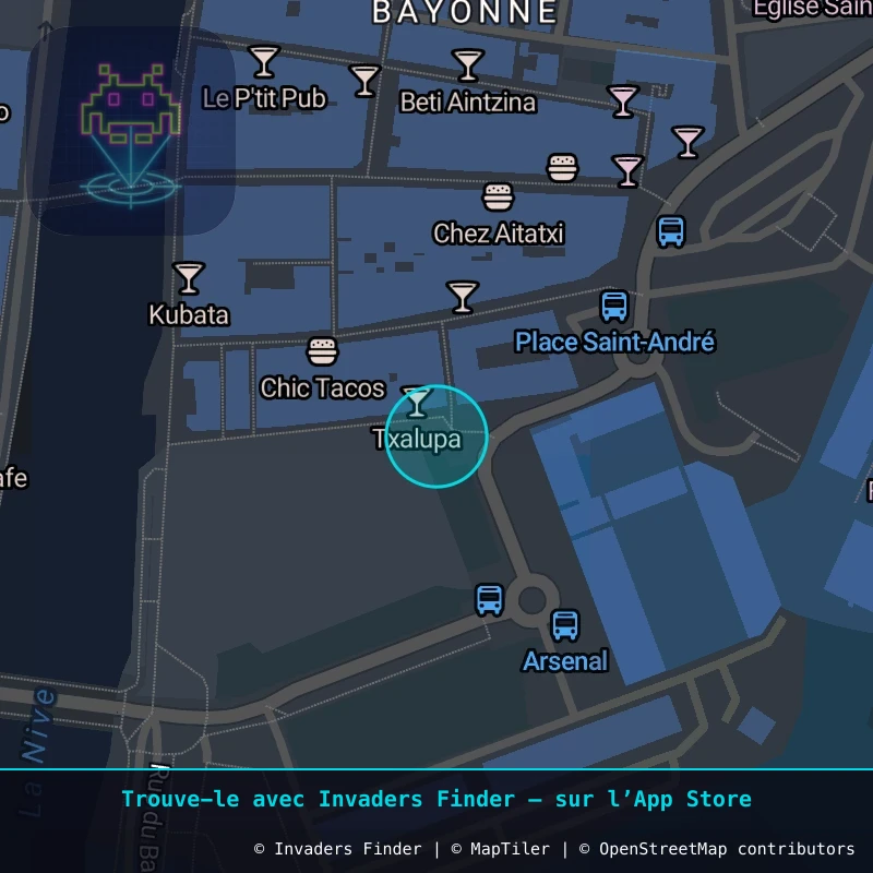 Zone approximative de l'invader BAB_28, dans le quartier Petit Bayonne, Bayonne à Biarritz-Anglet-Bayonne. Emplacement exact disponible dans l'app Invaders Finder.