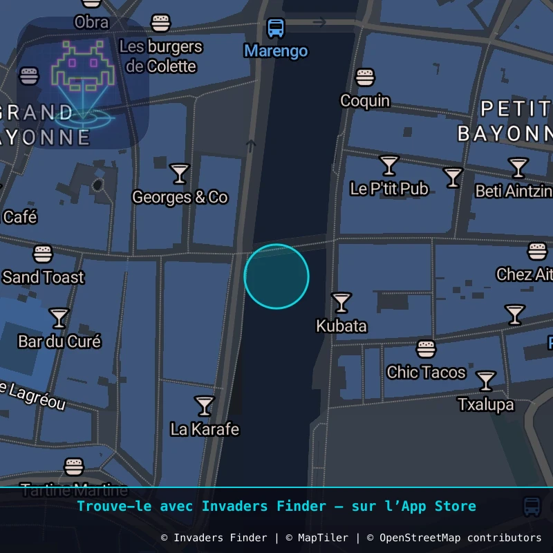 Zone approximative de l'invader BAB_31, dans le quartier Petit Bayonne, Bayonne à Biarritz-Anglet-Bayonne. Emplacement exact disponible dans l'app Invaders Finder.