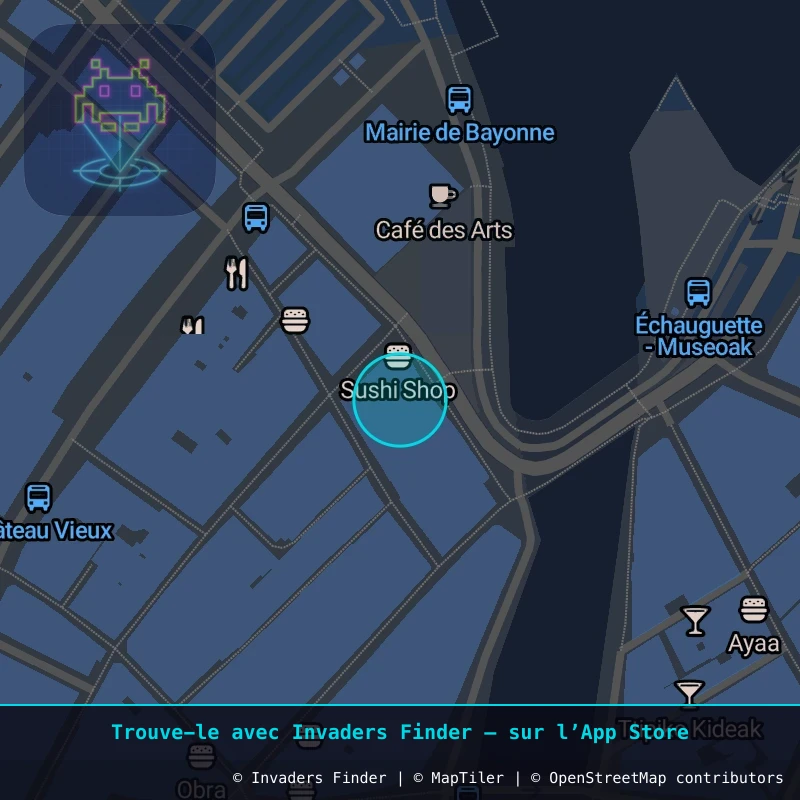 Zone approximative de l'invader BAB_32, dans le quartier Petit Bayonne, Bayonne à Biarritz-Anglet-Bayonne. Emplacement exact disponible dans l'app Invaders Finder.