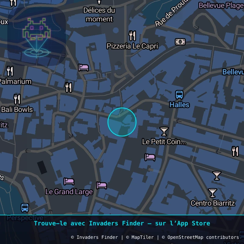 Zone approximative de l'invader BAB_33, dans le quartier Biarritz à Biarritz-Anglet-Bayonne. Emplacement exact disponible dans l'app Invaders Finder.