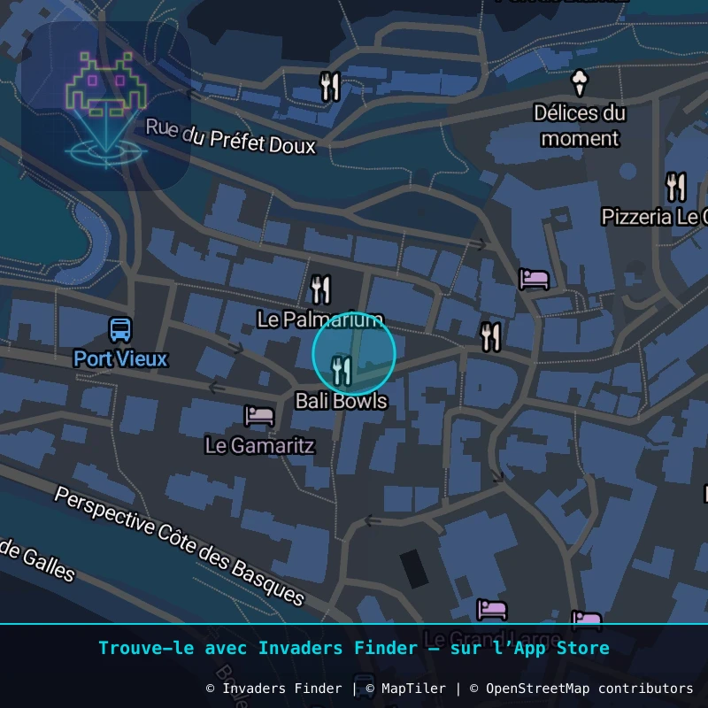 Zone approximative de l'invader BAB_39, dans le quartier Biarritz centre-ville à Biarritz-Anglet-Bayonne. Emplacement exact disponible dans l'app Invaders Finder.