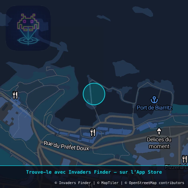 Zone approximative de l'invader BAB_56, dans le quartier Centre-ville, Biarritz à Biarritz-Anglet-Bayonne. Emplacement exact disponible dans l'app Invaders Finder.