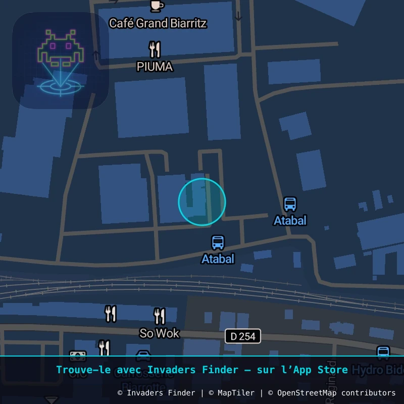 Zone approximative de l'invader BAB_59, dans le quartier Biarritz à Biarritz-Anglet-Bayonne. Emplacement exact disponible dans l'app Invaders Finder.