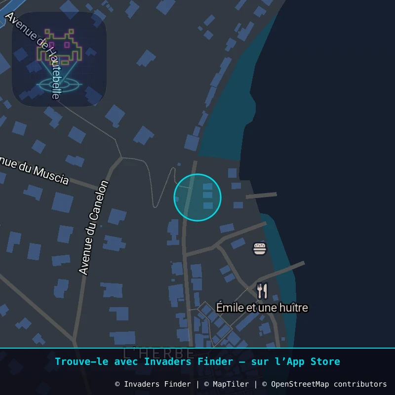 Zone approximative de l'invader CAPF_01, dans le quartier L'Herbe, Lège-Cap-Ferret à Cap-Ferret. Emplacement exact disponible dans l'app Invaders Finder.