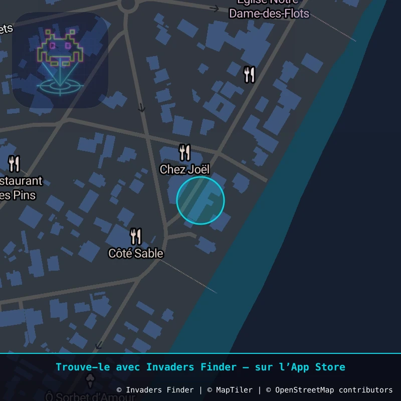 Zone approximative de l'invader CAPF_07, dans le quartier La Vigne, Lège-Cap-Ferret à Cap-Ferret. Emplacement exact disponible dans l'app Invaders Finder.