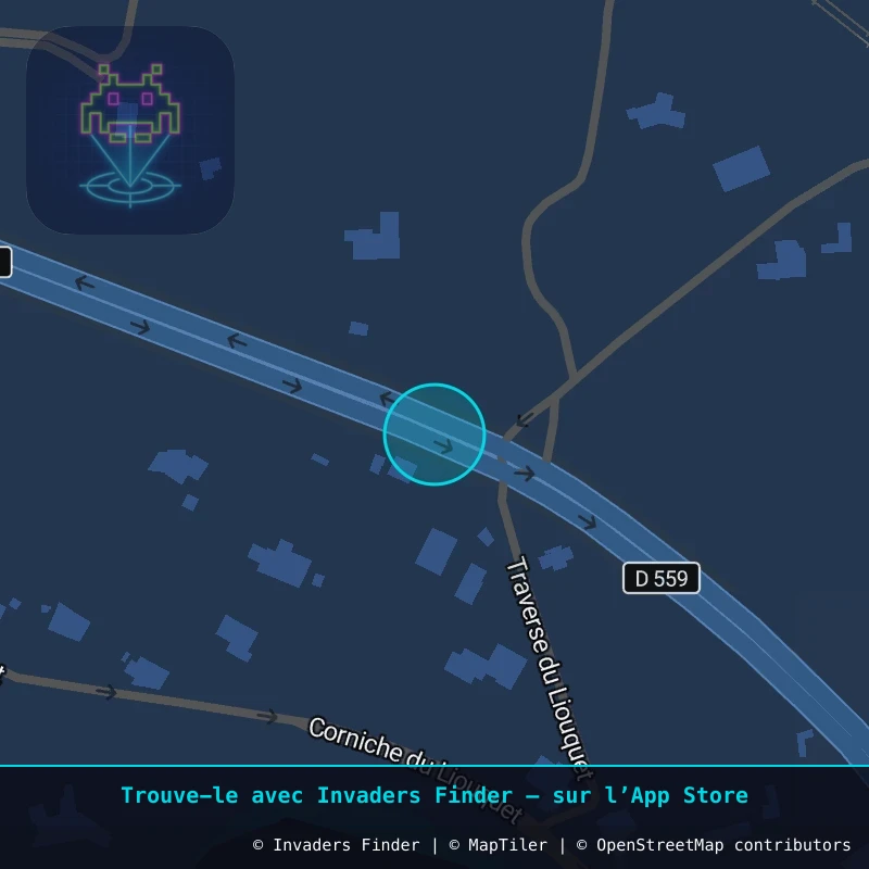 Zone approximative de l'invader CAZ_35, dans le quartier La Ciotat à Côte d'Azur. Emplacement exact disponible dans l'app Invaders Finder.