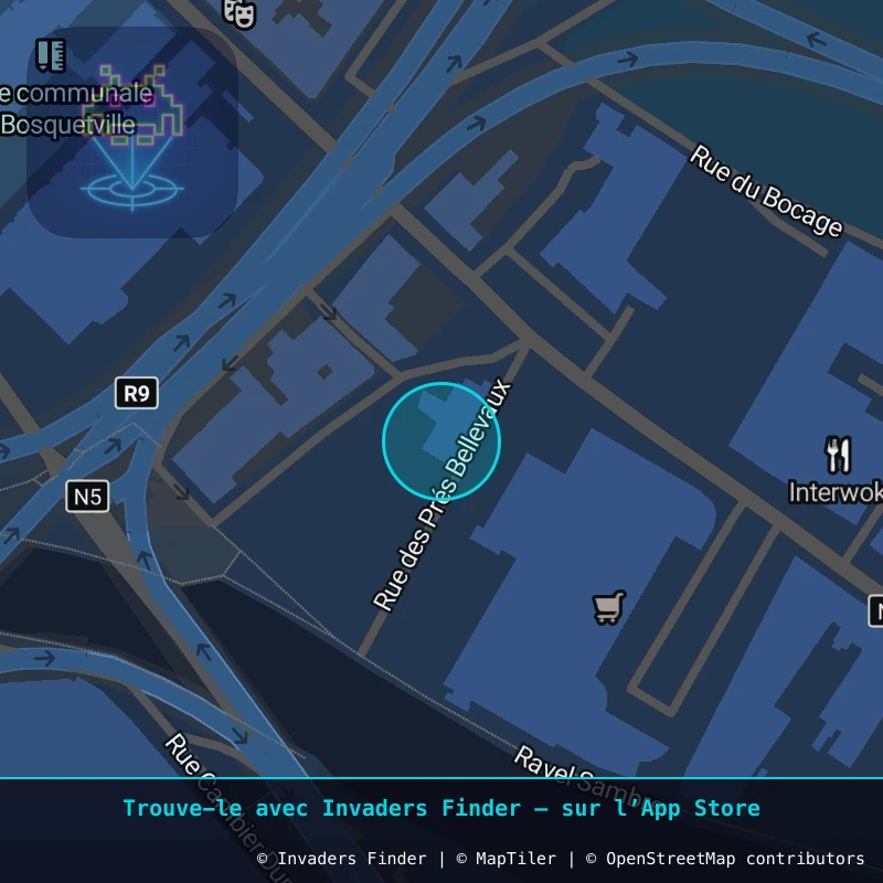 Zone approximative de l'invader CHAR_01, dans le quartier Ville-Basse, Charleroi à Charleroi. Emplacement exact disponible dans l'app Invaders Finder.