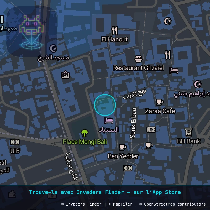 Zone approximative de l'invader DJBA_07, dans le quartier Taourit à Djerba. Emplacement exact disponible dans l'app Invaders Finder.