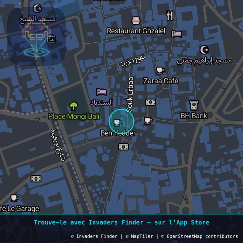 Zone approximative de l'invader DJBA_09, dans le quartier Taourit à Djerba. Emplacement exact disponible dans l'app Invaders Finder.