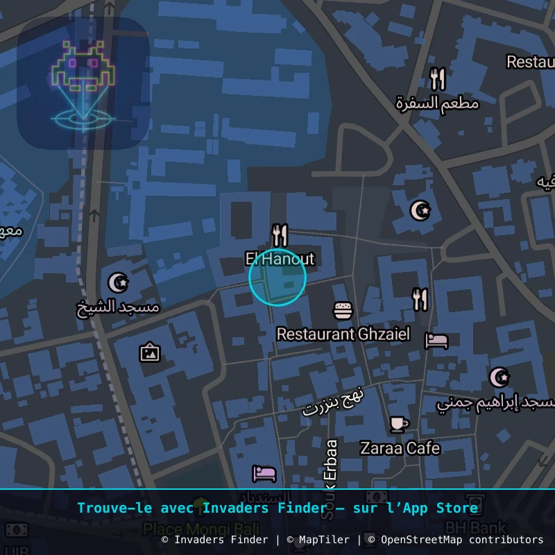 Zone approximative de l'invader DJBA_10, dans le quartier Taourit à Djerba. Emplacement exact disponible dans l'app Invaders Finder.