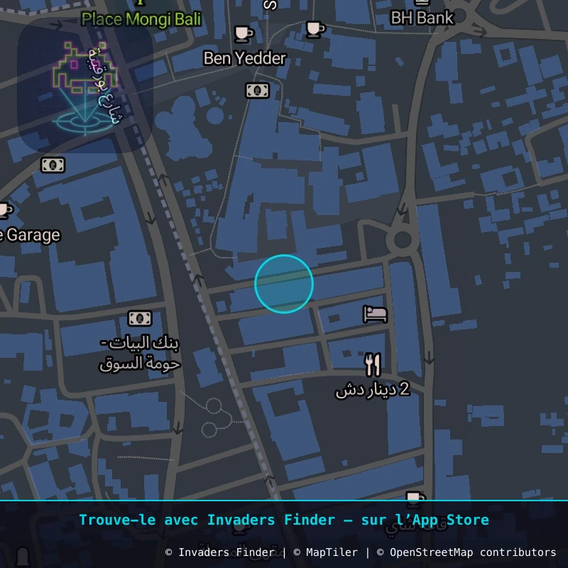 Zone approximative de l'invader DJBA_15, dans le quartier Taourit à Djerba. Emplacement exact disponible dans l'app Invaders Finder.