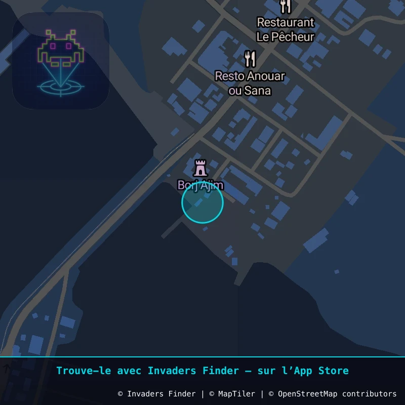 Zone approximative de l'invader DJBA_20, dans le quartier Ferjeyine, Adjim à Djerba. Emplacement exact disponible dans l'app Invaders Finder.