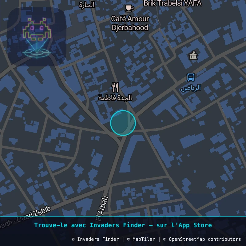 Zone approximative de l'invader DJBA_36, dans le quartier Erriadh à Djerba. Emplacement exact disponible dans l'app Invaders Finder.