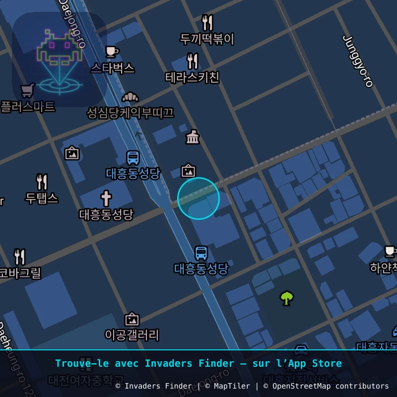 Zone approximative de l'invader DJN_22, dans le quartier Daejeon à Daejeon. Emplacement exact disponible dans l'app Invaders Finder.