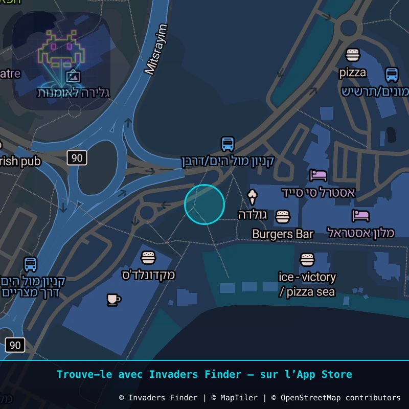 Zone approximative de l'invader ELT_02, dans le quartier Aire des hôtels, Eilat à Eilat. Emplacement exact disponible dans l'app Invaders Finder.