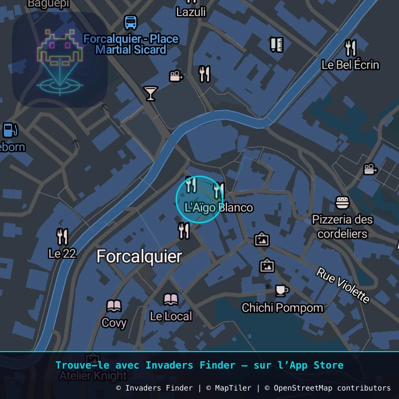 Zone approximative de l'invader FRQ_03, dans le quartier Centre-ville, Forcalquier à Forcalquier. Emplacement exact disponible dans l'app Invaders Finder.