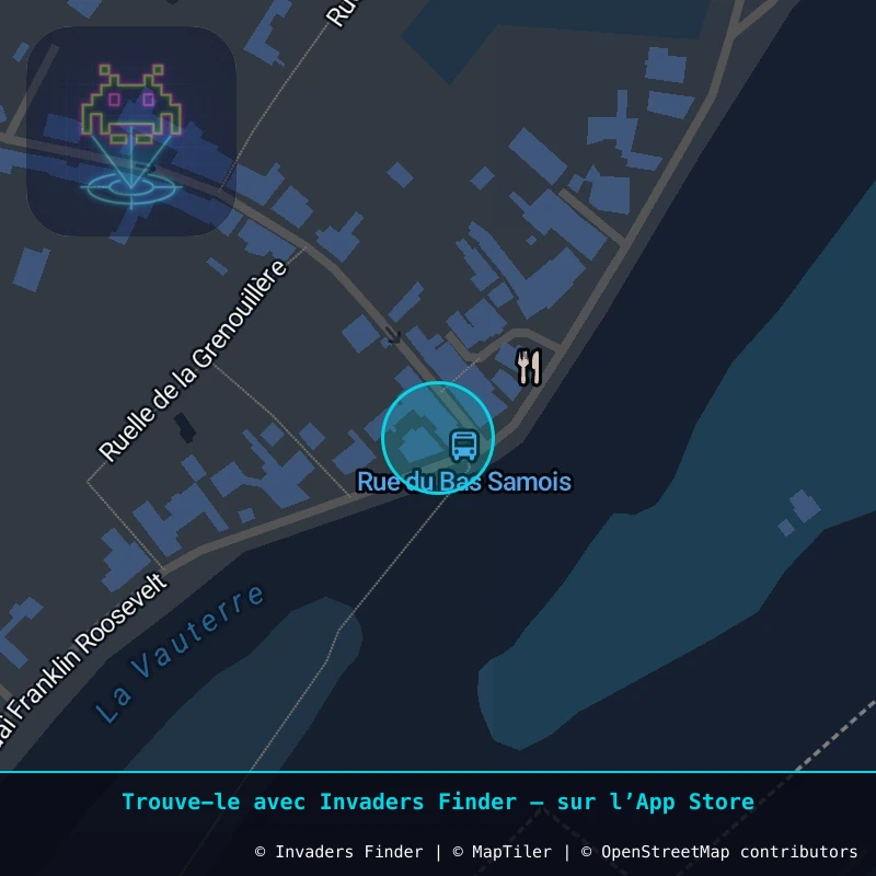 Zone approximative de l'invader FTBL_42, dans le quartier Bas Samois, Samois-sur-Seine à Fontainebleau. Emplacement exact disponible dans l'app Invaders Finder.