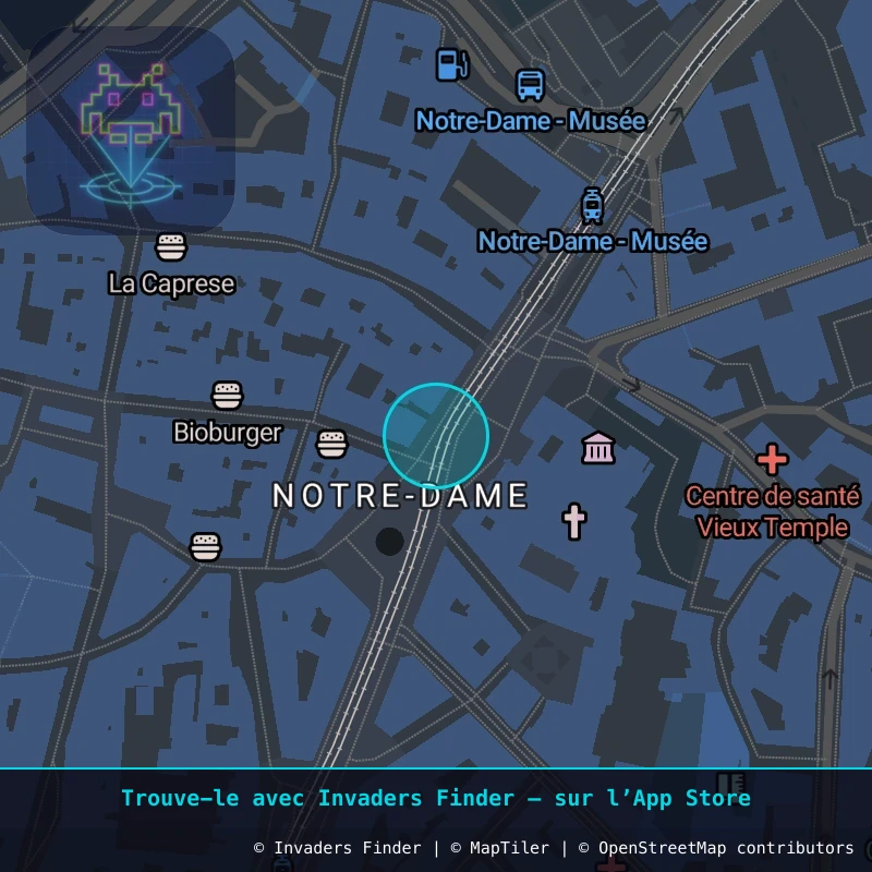 Zone approximative de l'invader GRN_04, dans le quartier Secteur 2, Grenoble à Grenoble. Emplacement exact disponible dans l'app Invaders Finder.
