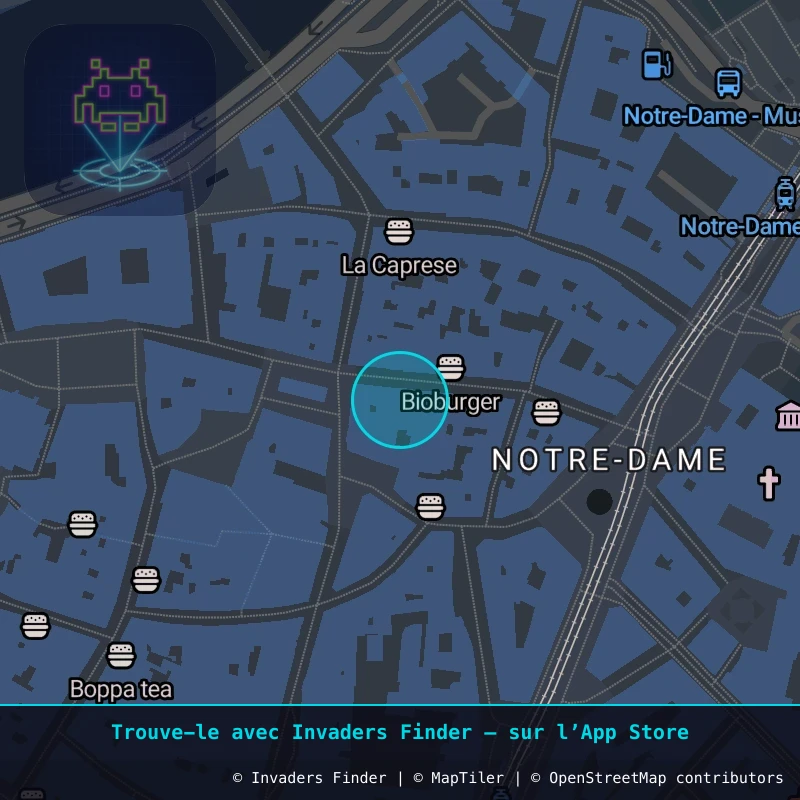 Zone approximative de l'invader GRN_11, dans le quartier Secteur 2, Grenoble à Grenoble. Emplacement exact disponible dans l'app Invaders Finder.