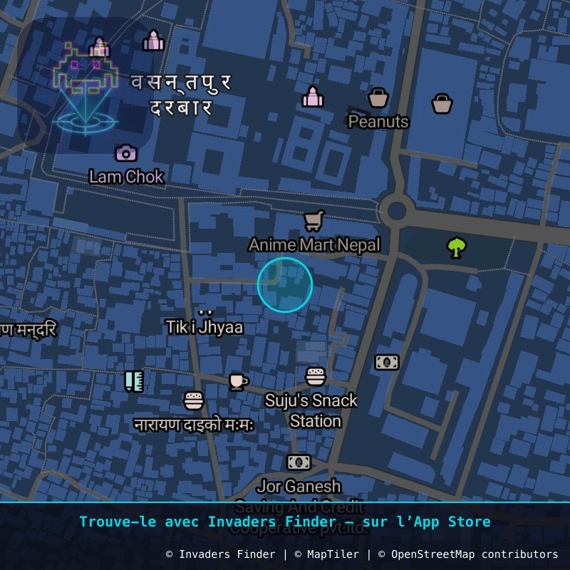 Zone approximative de l'invader KAT_04, dans le quartier Kathmandu-26 à Katmandou. Emplacement exact disponible dans l'app Invaders Finder.