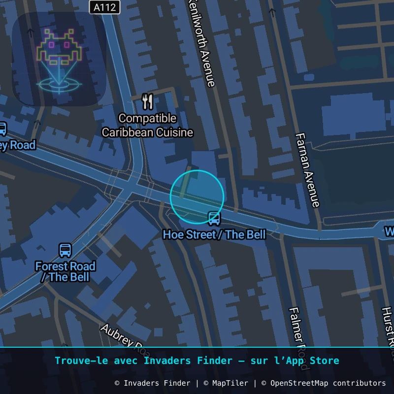 Zone approximative de l'invader LDN_149, dans le quartier Highams Park, Grand Londres à Londres. Emplacement exact disponible dans l'app Invaders Finder.