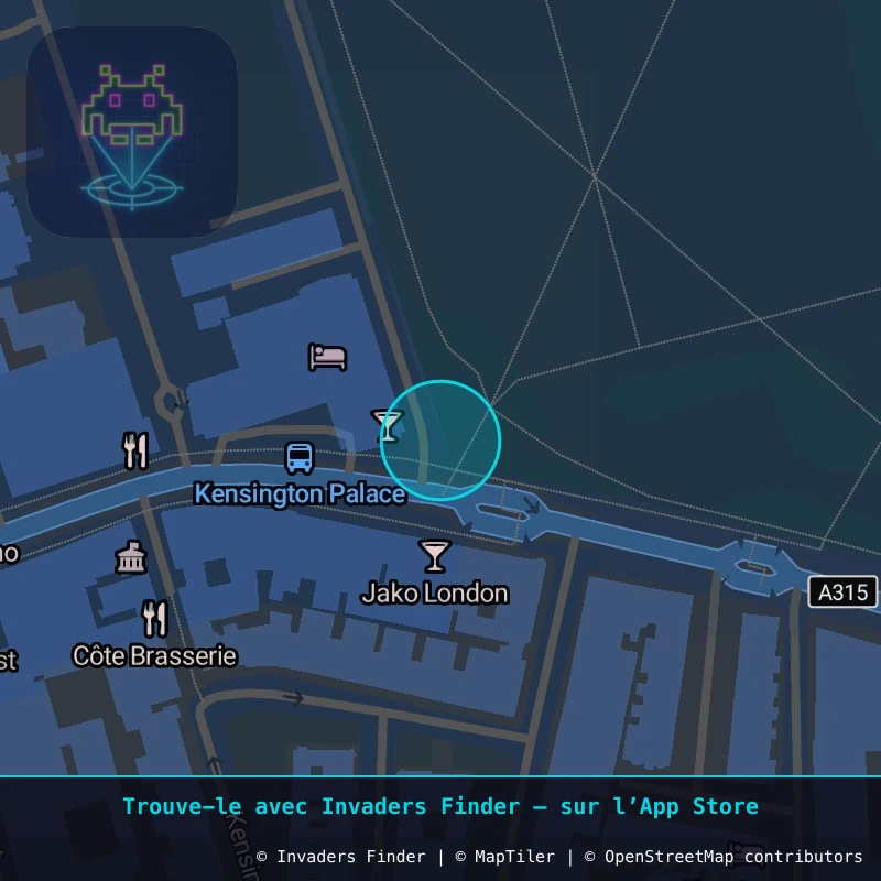 Zone approximative de l'invader LDN_49, dans le quartier South Kensington à Londres. Emplacement exact disponible dans l'app Invaders Finder.