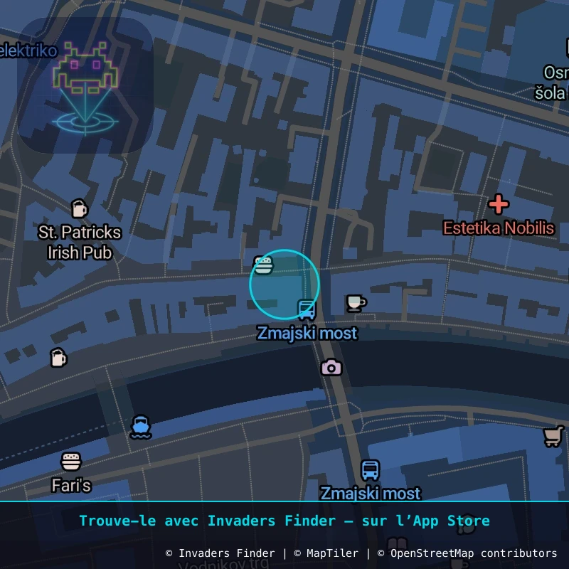 Zone approximative de l'invader LJU_12, dans le quartier Grajski grič, Ljubljana à Ljubljana. Emplacement exact disponible dans l'app Invaders Finder.
