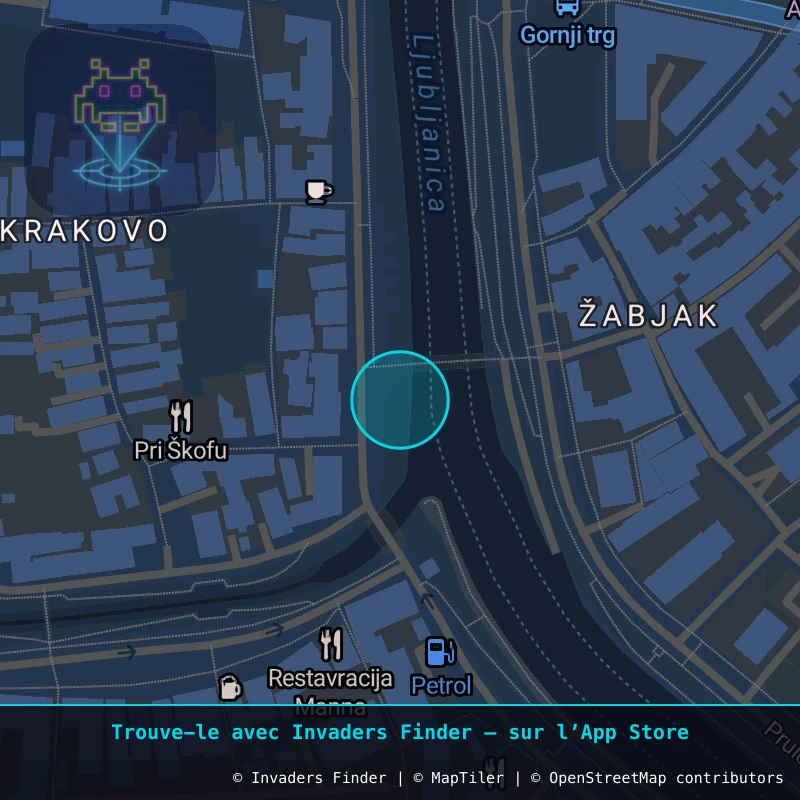 Zone approximative de l'invader LJU_25, dans le quartier Grajski grič, Ljubljana à Ljubljana. Emplacement exact disponible dans l'app Invaders Finder.