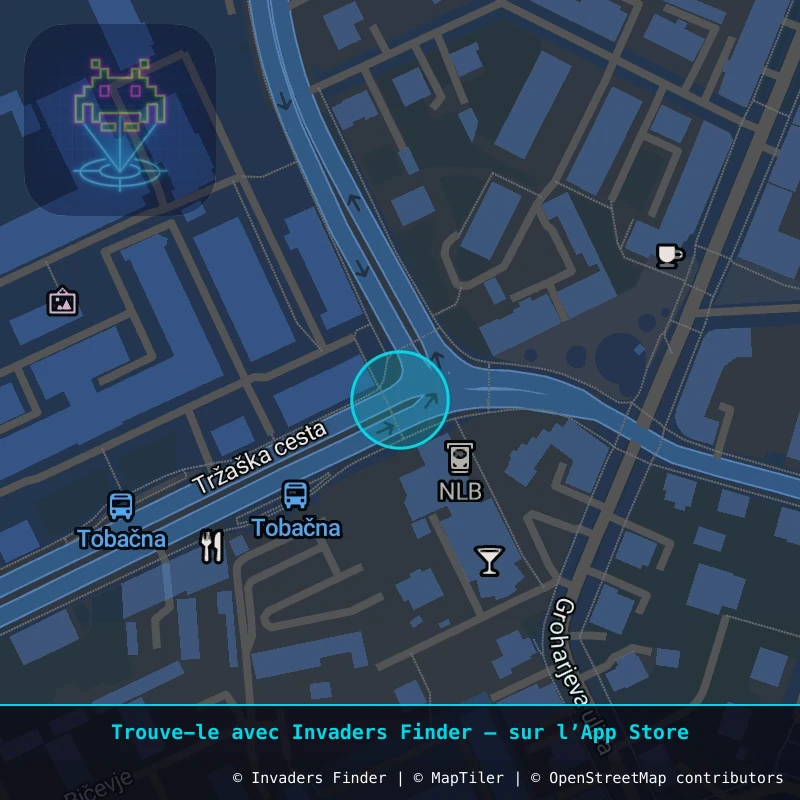 Zone approximative de l'invader LJU_30, dans le quartier Grajski grič, Ljubljana à Ljubljana. Emplacement exact disponible dans l'app Invaders Finder.