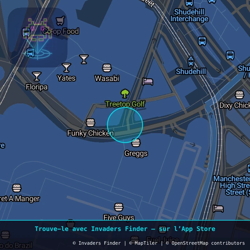 Zone approximative de l'invader MAN_08, dans le quartier Northern Quarter, Manchester à Manchester. Emplacement exact disponible dans l'app Invaders Finder.