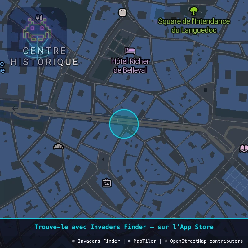 Zone approximative de l'invader MPL_33, dans le quartier Centre Historique, Montpellier à Montpellier. Emplacement exact disponible dans l'app Invaders Finder.