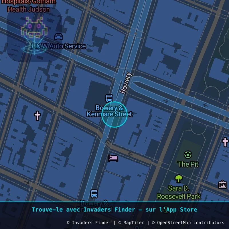 Zone approximative de l'invader NY_153, dans le quartier East Village, Manhattan à New York. Emplacement exact disponible dans l'app Invaders Finder.