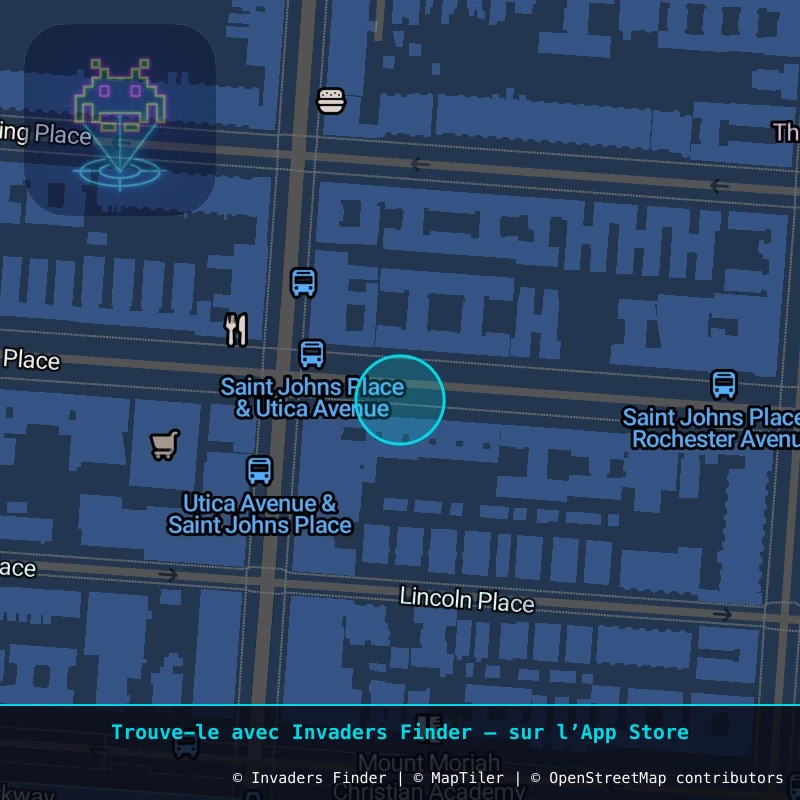Zone approximative de l'invader NY_160, dans le quartier Brooklyn à New York. Emplacement exact disponible dans l'app Invaders Finder.