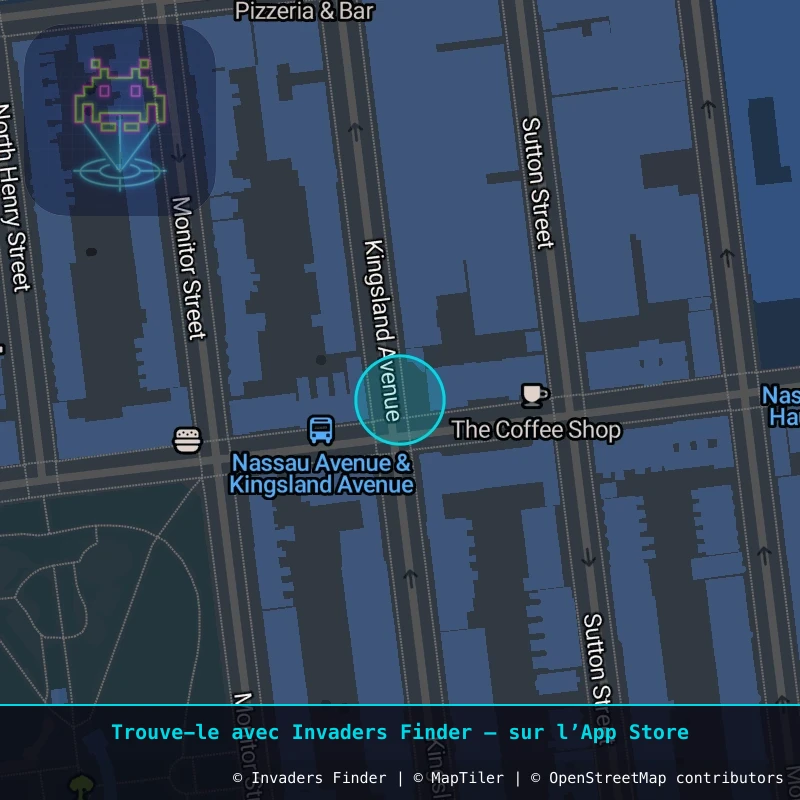 Zone approximative de l'invader NY_162, dans le quartier Greenpoint, Brooklyn à New York. Emplacement exact disponible dans l'app Invaders Finder.