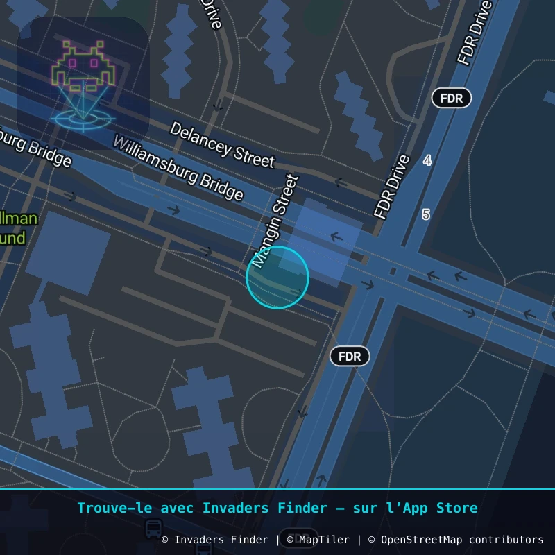 Zone approximative de l'invader NY_29, dans le quartier East Village, Manhattan à New York. Emplacement exact disponible dans l'app Invaders Finder.