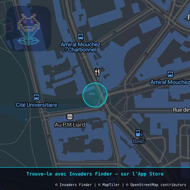 Zone approximative de l'invader PA_216, dans le quartier 13e arrondissement de Paris à Paris. Emplacement exact disponible dans l'app Invaders Finder.
