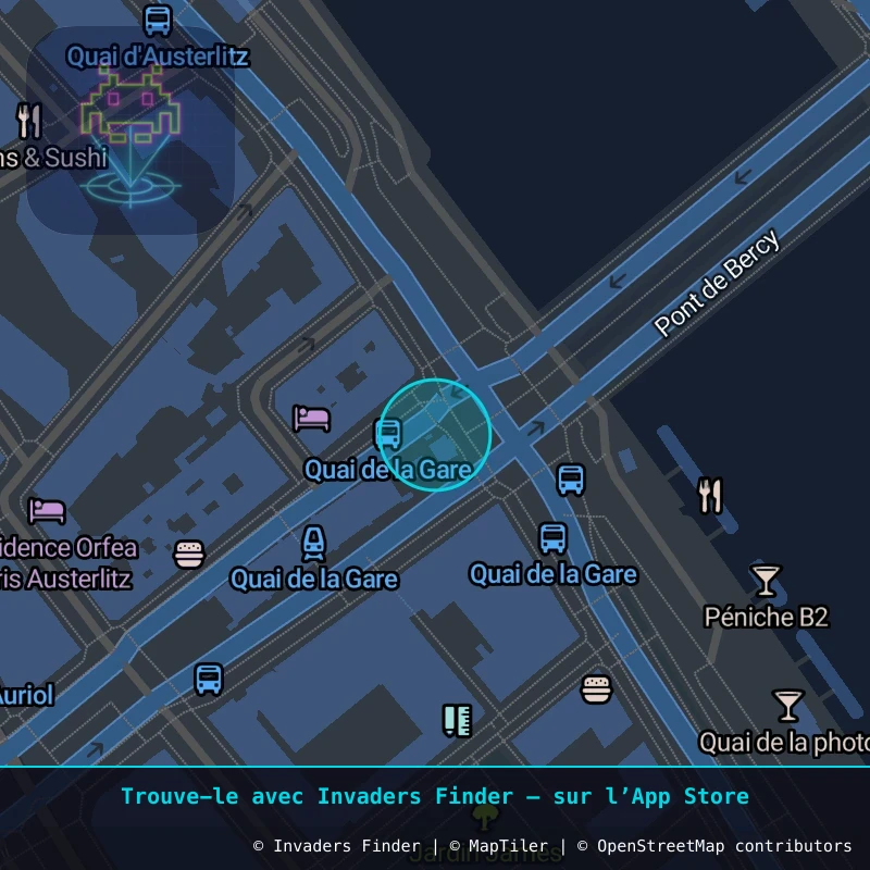 Zone approximative de l'invader PA_220, dans le quartier 13e arrondissement de Paris à Paris. Emplacement exact disponible dans l'app Invaders Finder.