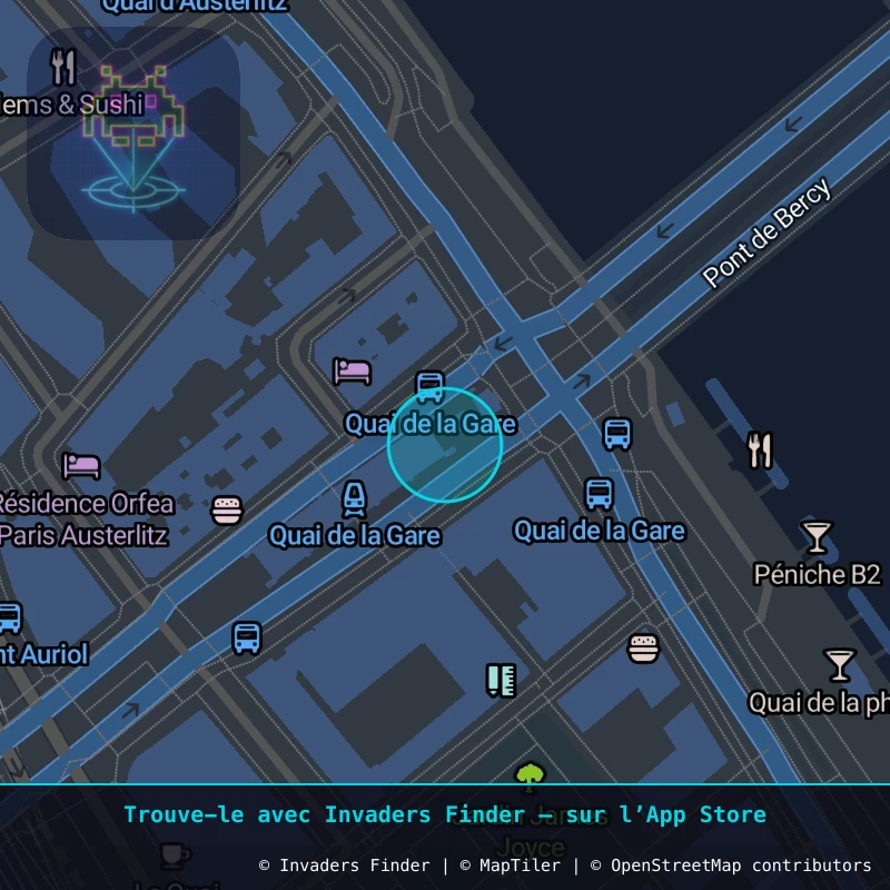 Zone approximative de l'invader PA_36, dans le quartier 13e arrondissement de Paris à Paris. Emplacement exact disponible dans l'app Invaders Finder.