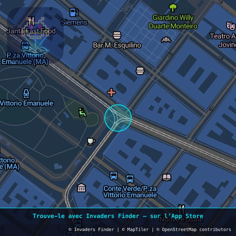 Zone approximative de l'invader ROM_29, dans le quartier Municipio Roma V à Rome. Emplacement exact disponible dans l'app Invaders Finder.