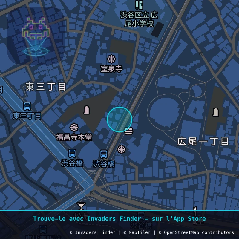 Zone approximative de l'invader TK_129, dans le quartier Sarugakuchō, Arrondissement de Shibuya à Tokyo. Emplacement exact disponible dans l'app Invaders Finder.