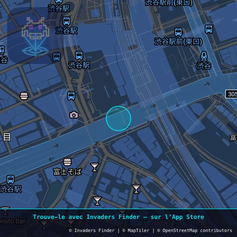 Zone approximative de l'invader TK_70, dans le quartier Sarugakuchō, Arrondissement de Shibuya à Tokyo. Emplacement exact disponible dans l'app Invaders Finder.