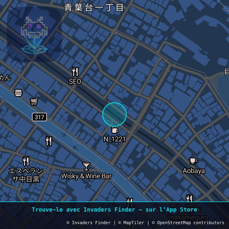Zone approximative de l'invader TK_97, dans le quartier Sarugakuchō, Arrondissement de Shibuya à Tokyo. Emplacement exact disponible dans l'app Invaders Finder.