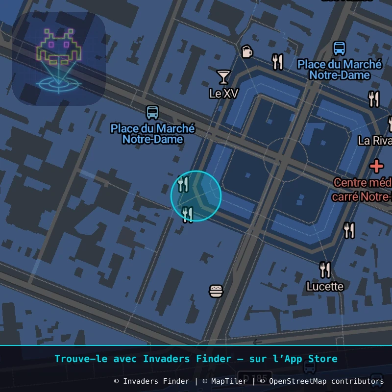 Zone approximative de l'invader VRS_02, dans le quartier Versailles à Versailles. Emplacement exact disponible dans l'app Invaders Finder.