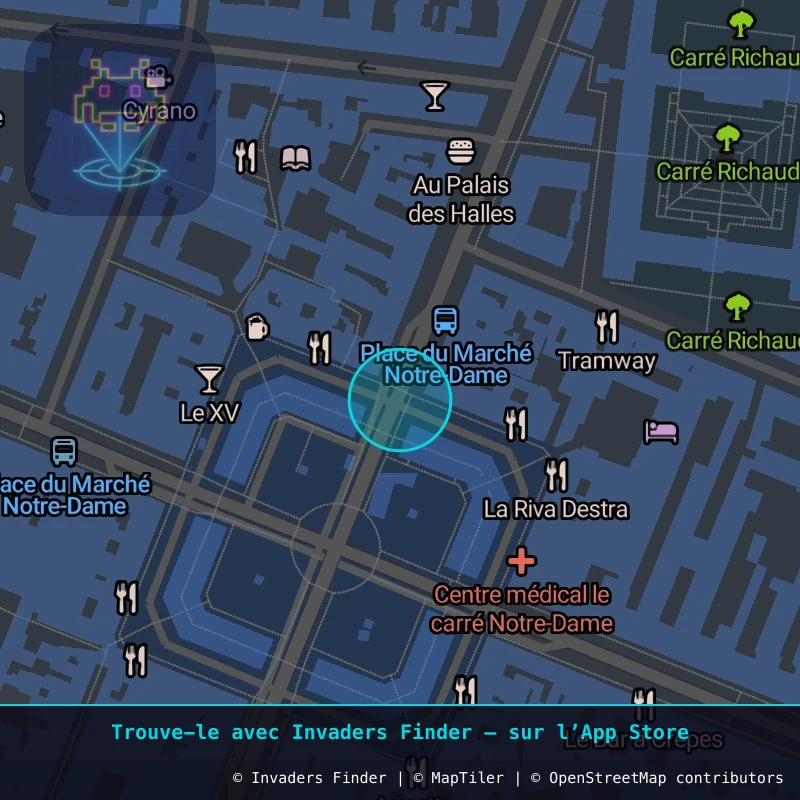 Zone approximative de l'invader VRS_04, dans le quartier Versailles à Versailles. Emplacement exact disponible dans l'app Invaders Finder.