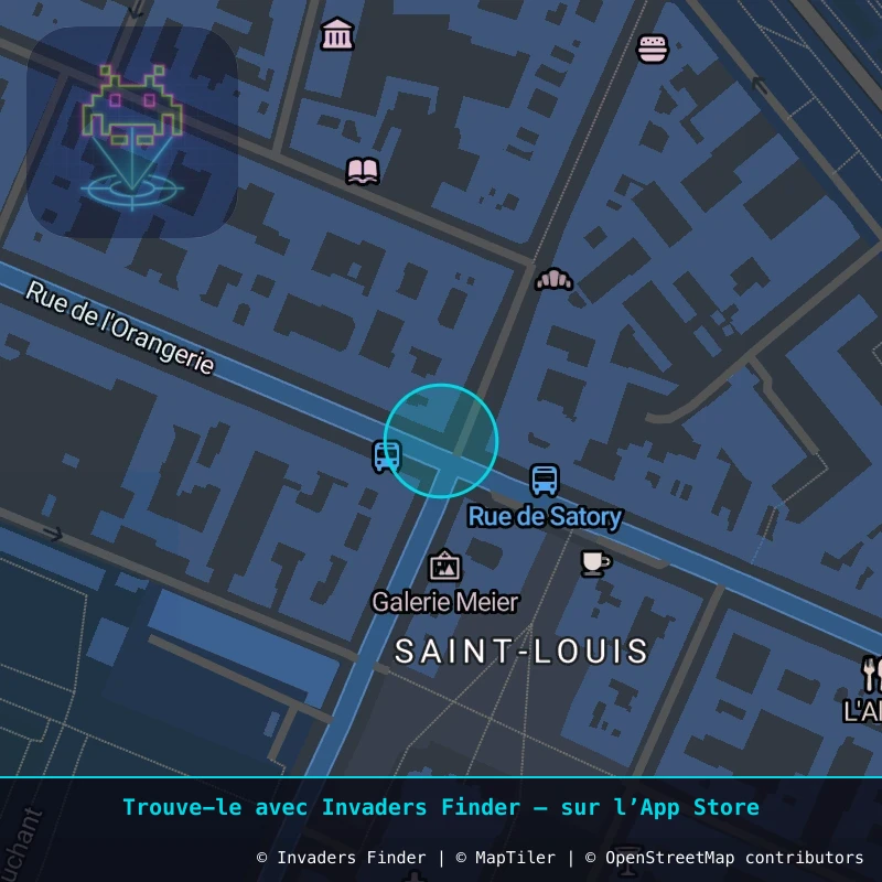 Zone approximative de l'invader VRS_16, dans le quartier Carré au Puits, Versailles à Versailles. Emplacement exact disponible dans l'app Invaders Finder.